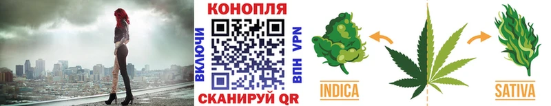 Канабис гибрид Щигры